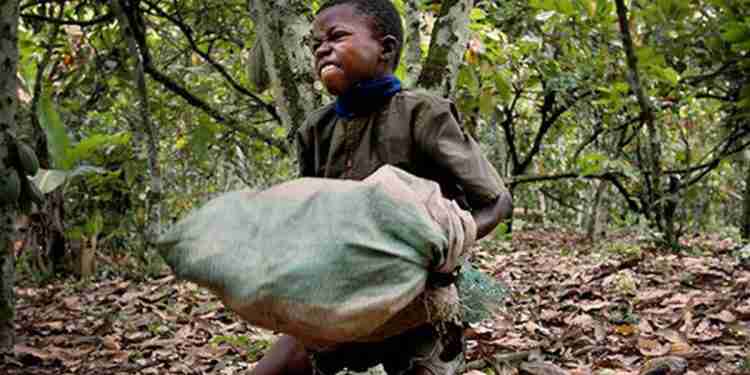 Ghana needs collective efforts to eliminate child labour – GAWU