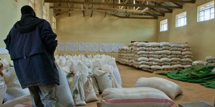 Lack of storage facilities impedes agriculture production - GAWU