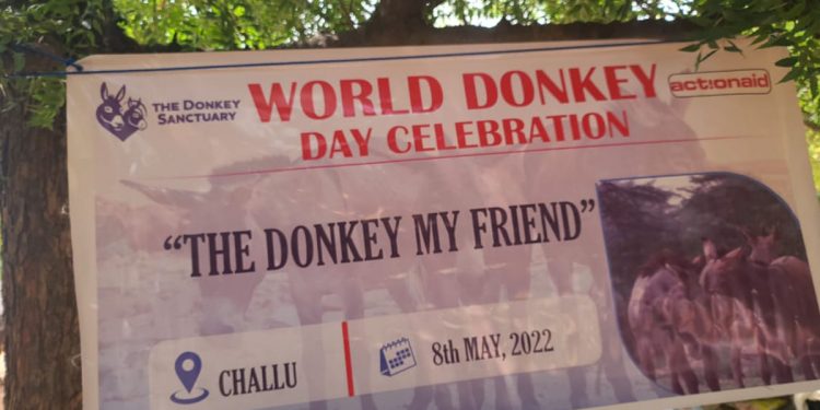 Social Donkey Celebration - World Donkey Day marked in Challu in the Sissala East
