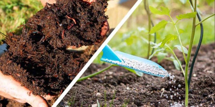 Efficient organic fertilizer management ensures multiple benefits – Director, Soil Research Institute
